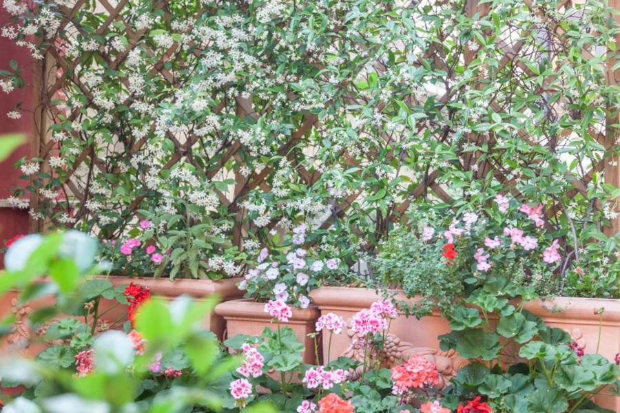 Casa In Monti Hotel Рим Екстериор снимка